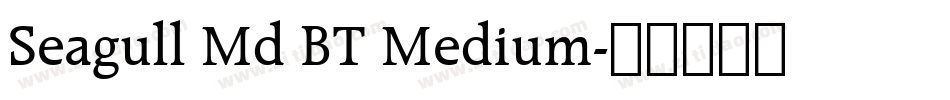 Seagull Md BT Medium字体转换